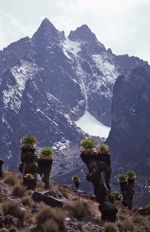 WT 1400 221-25 Kenya.jpg